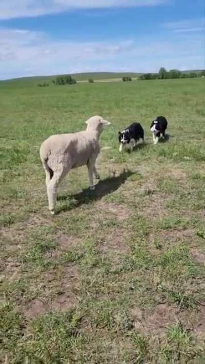 Kess and Mattie teaming up to pen a stubborn single