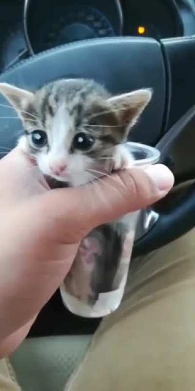 Cup sized