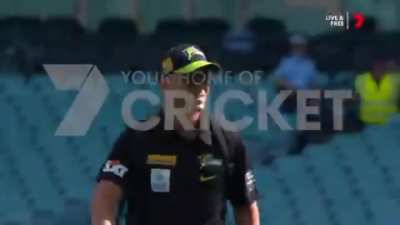 Warner has landed his chopper on the field !! Maaaaassssssss !