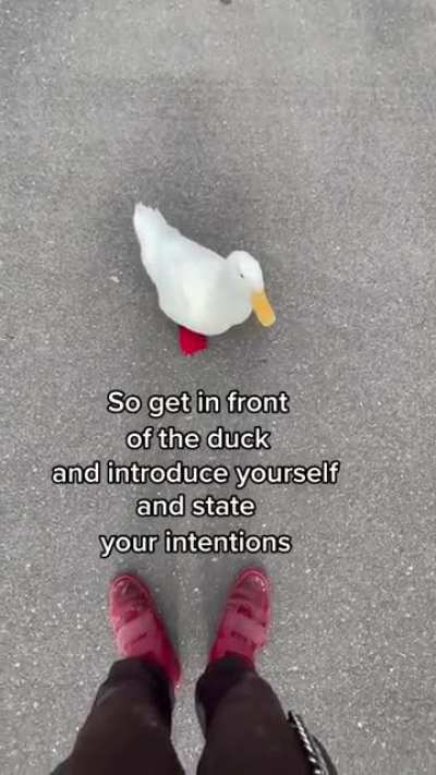 Hmm