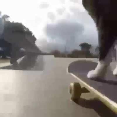 heil spez is a sk8er