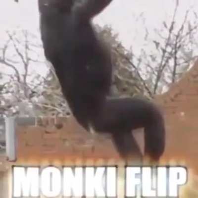Monki flip