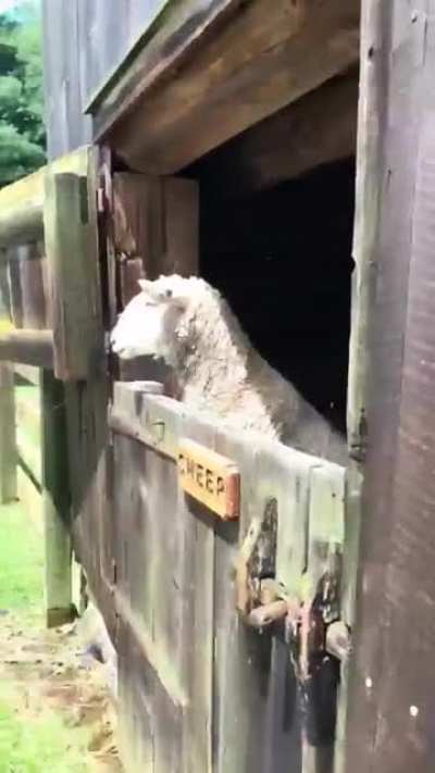 It’s not gonna bite you