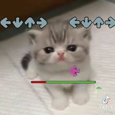 vb