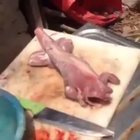cursed_fleshlight
