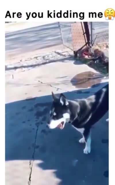 Literally the face 🤣