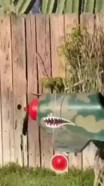 living his best life