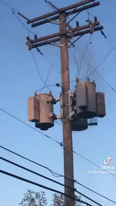 If there’s something strange in the neighborhood