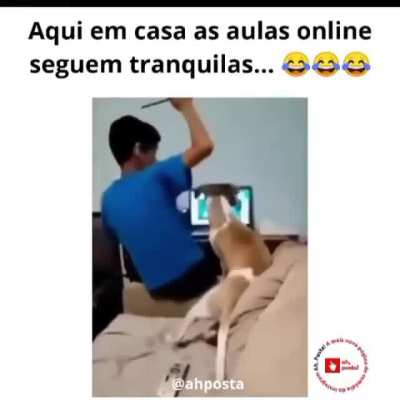 E as aulas on line seguem normal kkkk