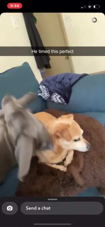 Falling in love