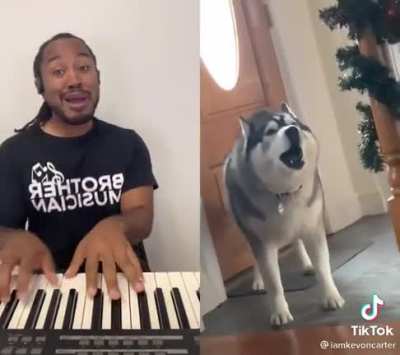 What a beautiful voice