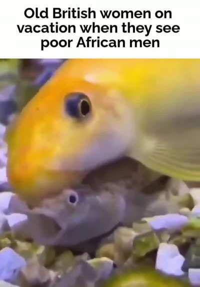 Context in comments or nah?
