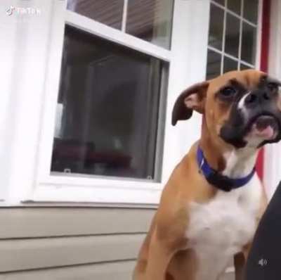 Not sure if this fits here, but I can’t stop watching it.