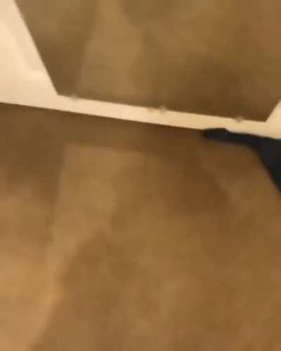 L?
