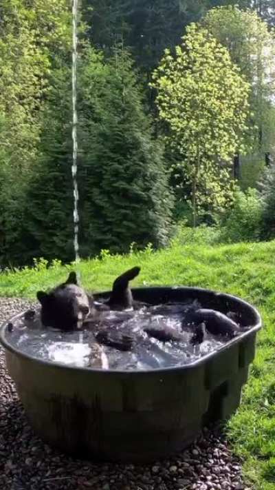 Brent taking a “Pool Bath” in Serbia.
