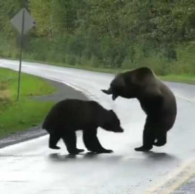Fight in the street