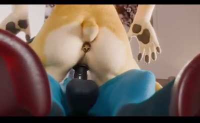 Yiff