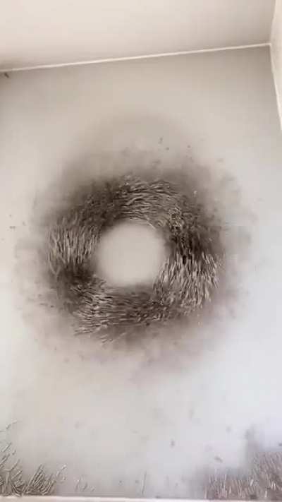 Magnet