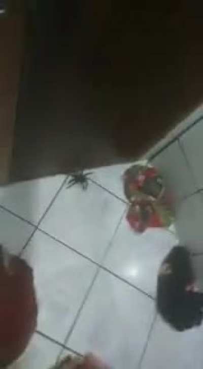Medo genuíno