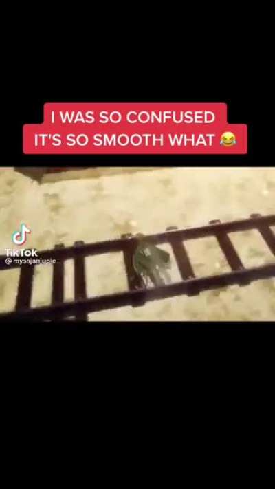 Ctto