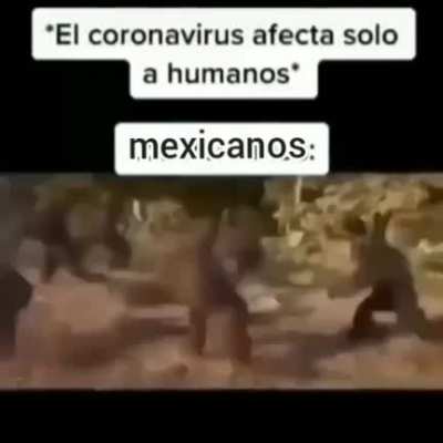 XD