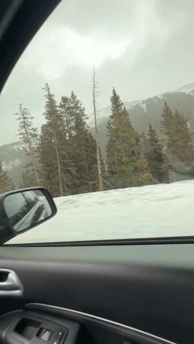The mountains in Colorado are so pretty