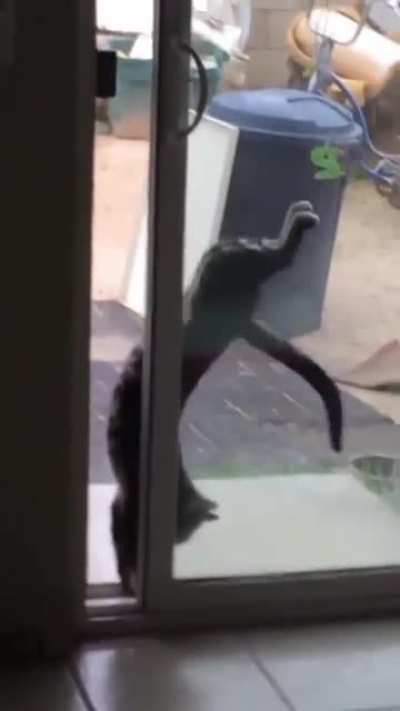 She attempted and failed to get in the house