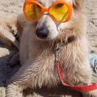 Beach Lady 🧡