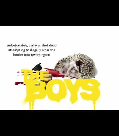 Poor Hedgehog tbh