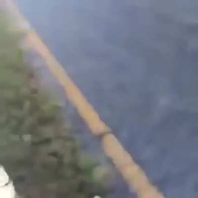 Never corner Florida Man!