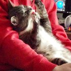 Hey!