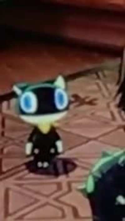 👁-👁