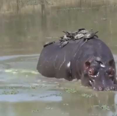 Weeeeee!