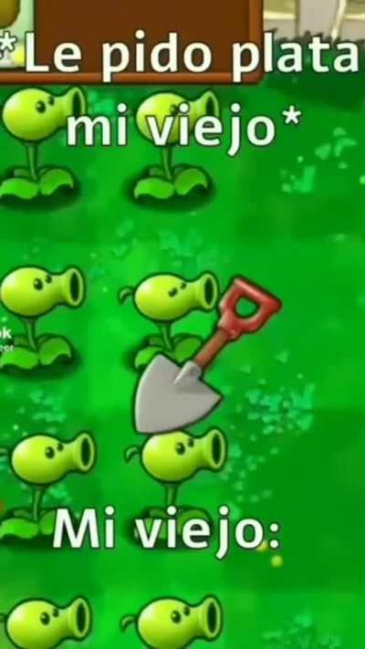 xD