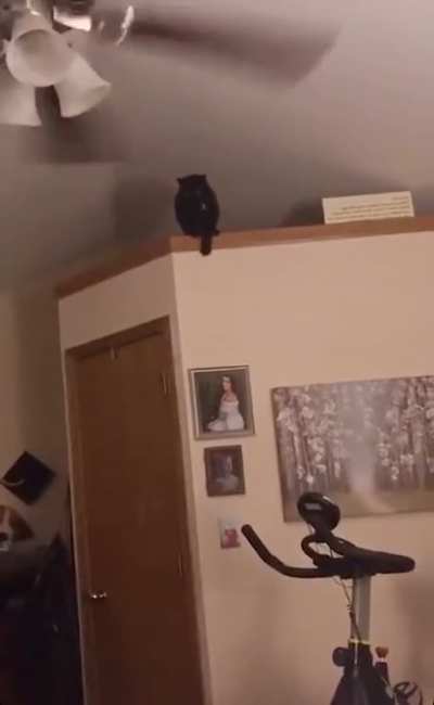 Leap of faith