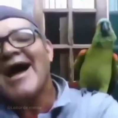 ahahahaa-