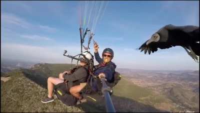 HMF while we fly with nature