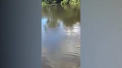 esse vídeo é lindo