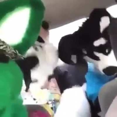 cursed_car