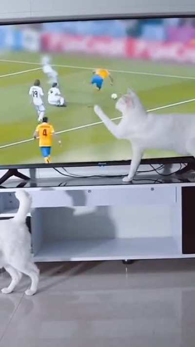 Hand of God
