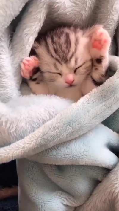 Smollest Beans