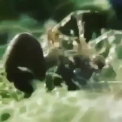 Maybe maybe maybe
