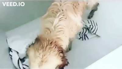 She likes the bath