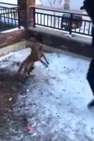 Maybe Maybe Maybe