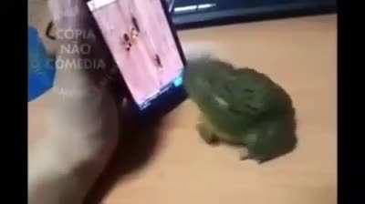 Só par aparece no degustação de meme souzones sou seu fã