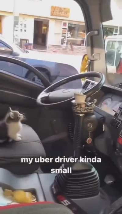 My uber driver has arrived!