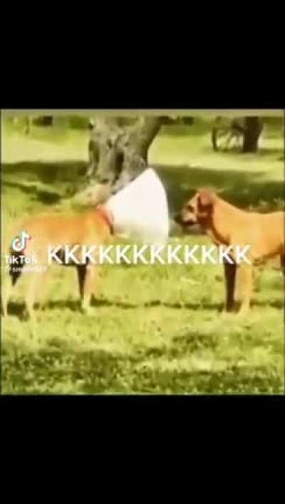 ~ a mano, KKKKKKKKK