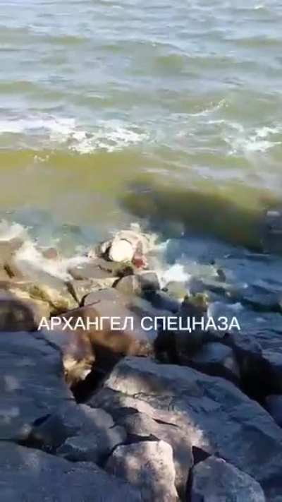 ru pov. The corpses of soldiers of the Armed Forces of Ukraine are carried to the banks of the Dnieper river.