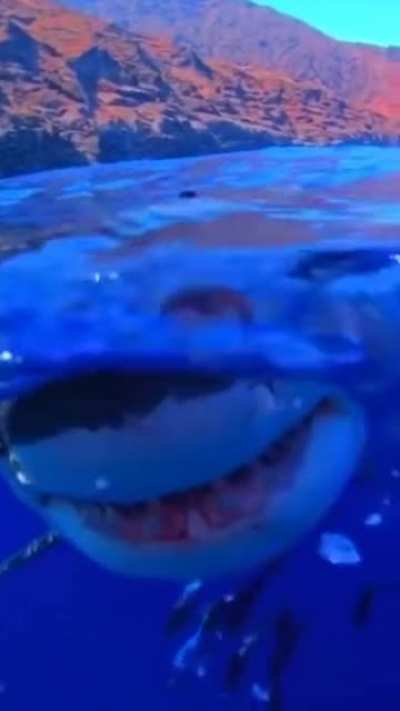 What up Terry, you doing good??