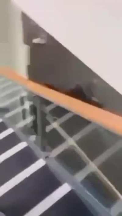 UK